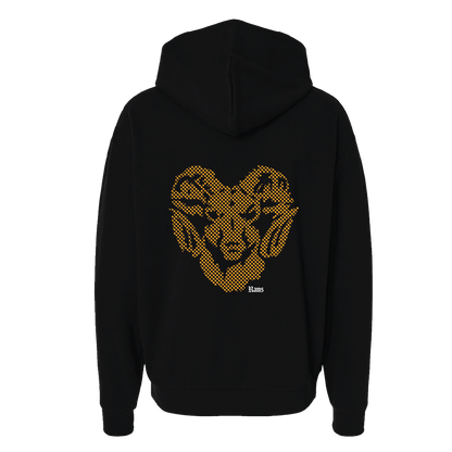 Ralston Class of 2026 Embroidered Hoodie